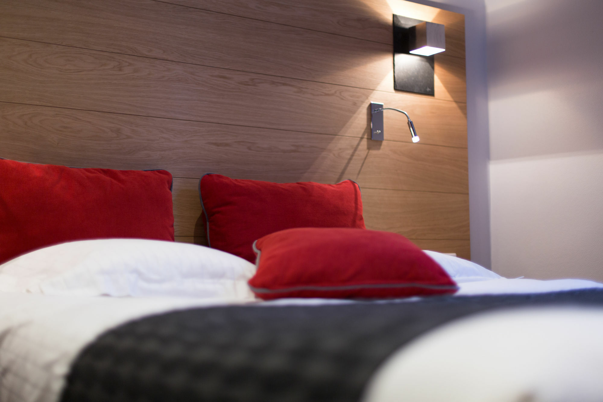 Hotel Des Princes, Chambery Centre Dış mekan fotoğraf